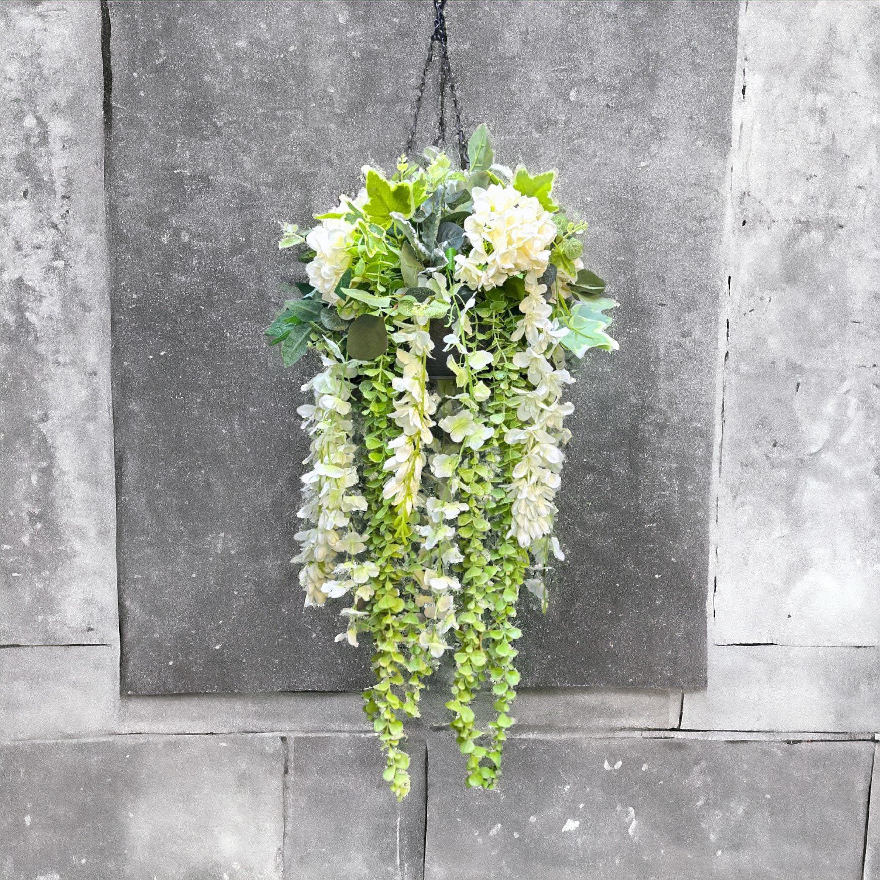 Hydrangea Wisteria Hanging Plant AAA628