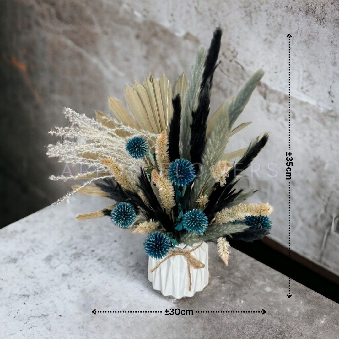 Echinops Pampas Dried Flowers Arrangement in Ceramic Pot AAA630