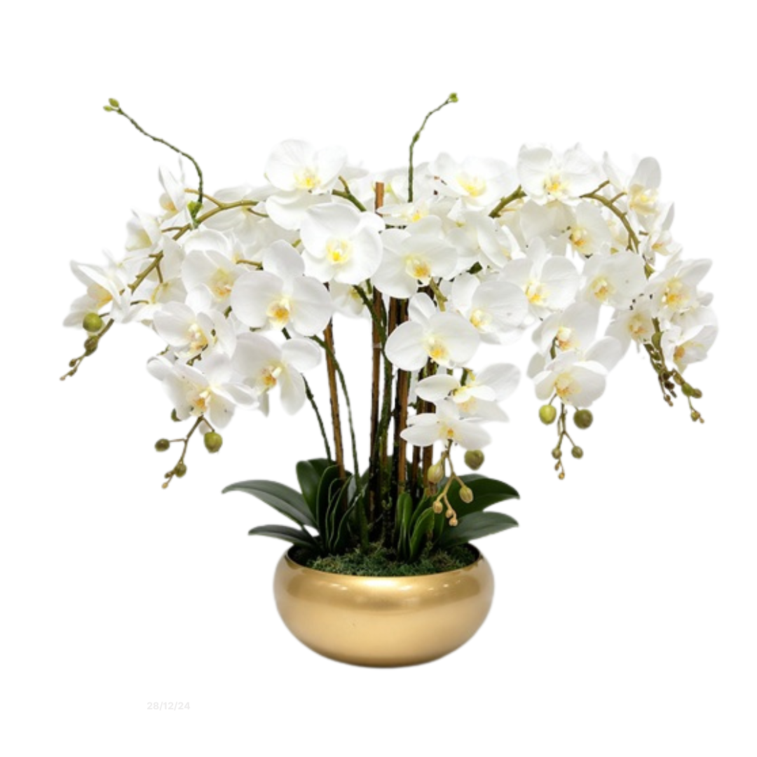 60cm White orchids arranged in a all rounder shaped with metallic gold vase AAA944-2