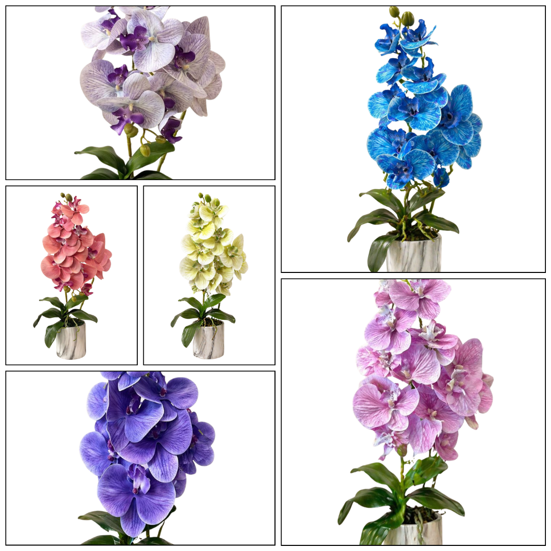 55cm Elegant artificial orchid arrangement AAA964-1