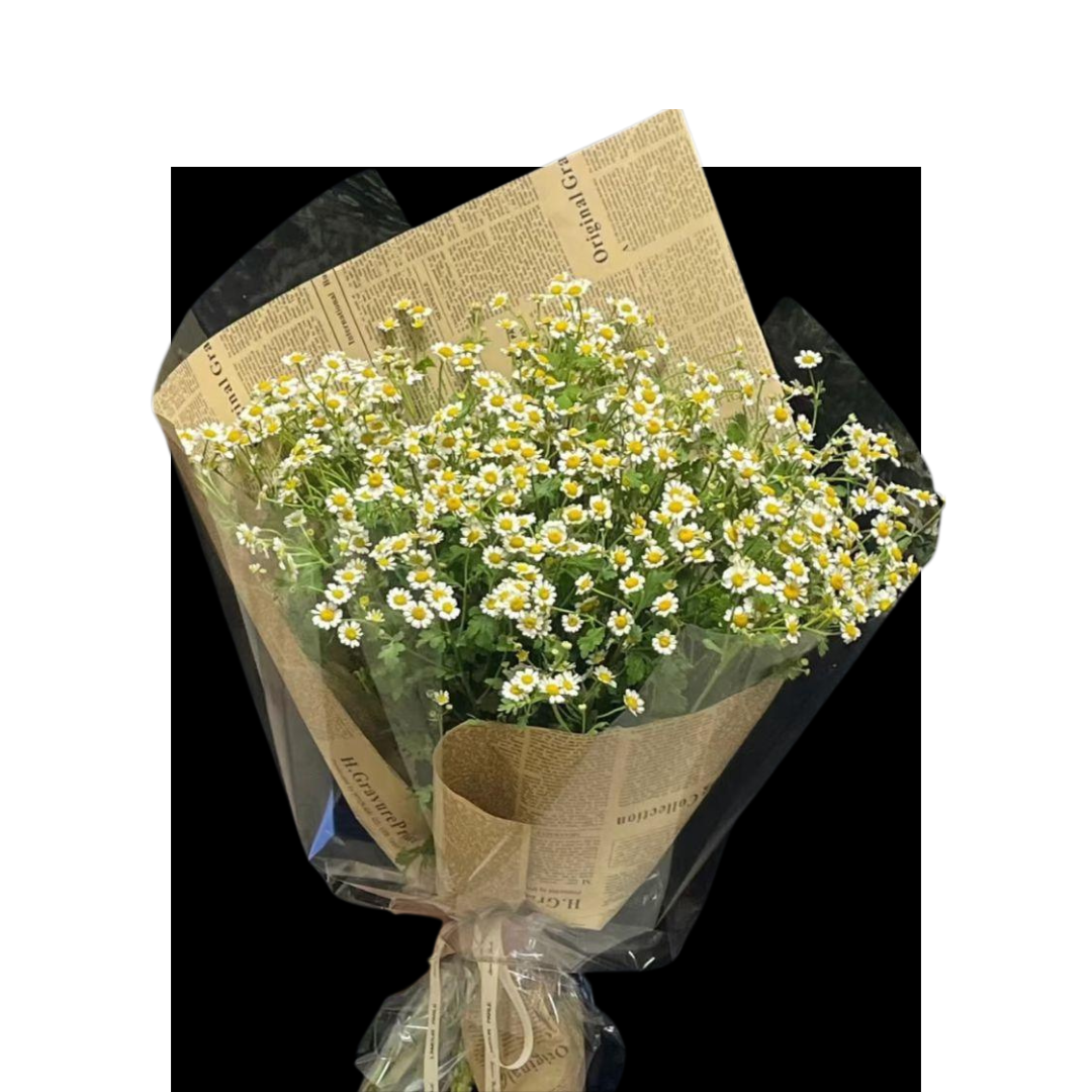 Lush Melody- Fresh Flower Arrangement AFT244