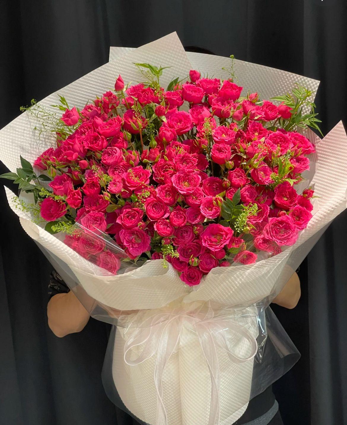 Petal Breeze Petal Breeze AFT249