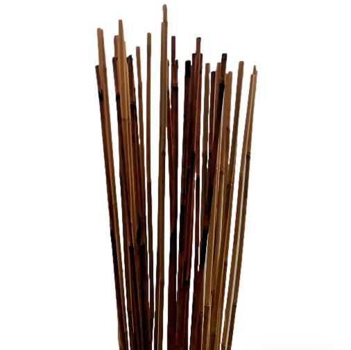 Aacc 1882 clipped rev 1 Copy 1