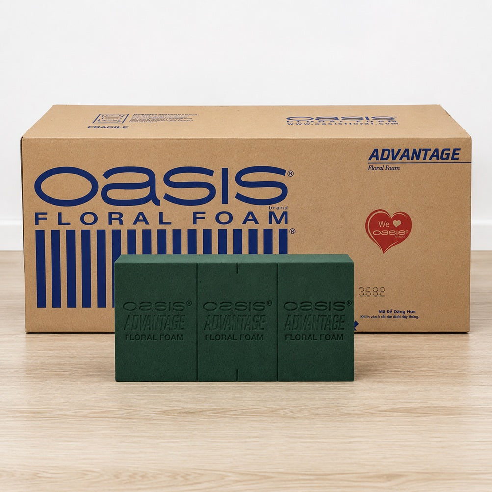 Oasis Advantage floral foam brick for fresh flower arrangements with green foam blocks and carton box