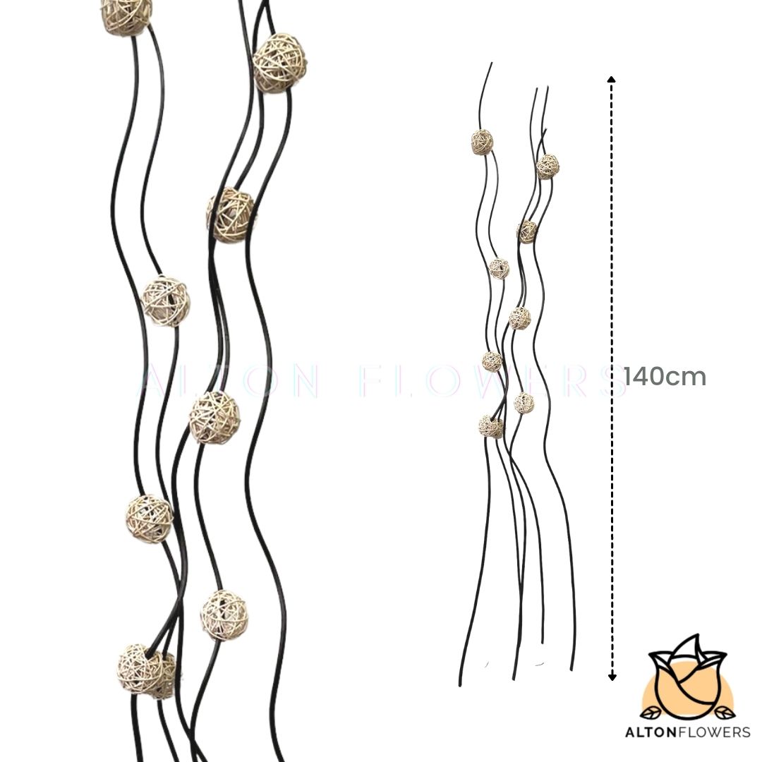 Aacc067 D Black Stick White Balls