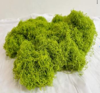 Flower Moss artificial, for plants, arrangement, decor. Aacc354