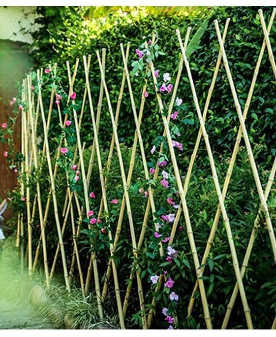 Pole bamboo Trellis expandable, gardening, garden, plants Aacc200