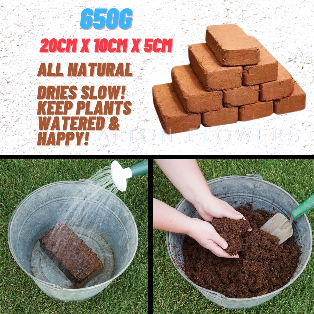 Cocopeat Block