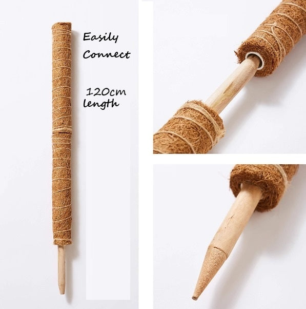 Cocofibre pole Support (detachable/ attachable for vines climbers garden home decor Aacc234-6-120cm