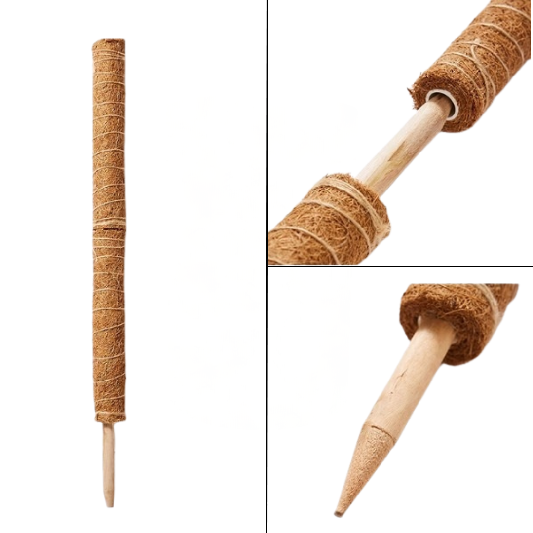 Cocofibre pole Support (detachable/ attachable for vines climbers garden home decor Aacc234-6-120cm