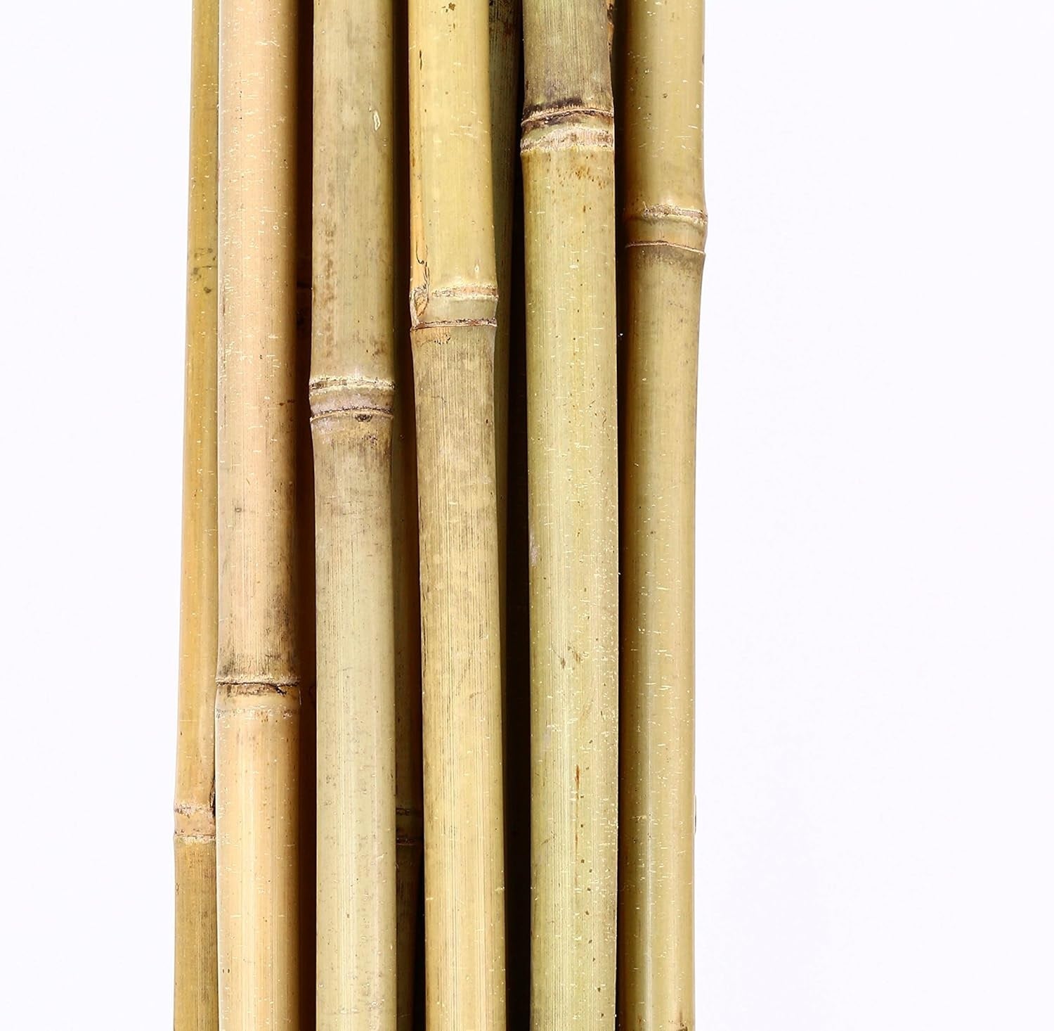 145cm natural dried bamboo pole from Alton Flowers, heavy-duty garden plant support stake for outdoor gardening.