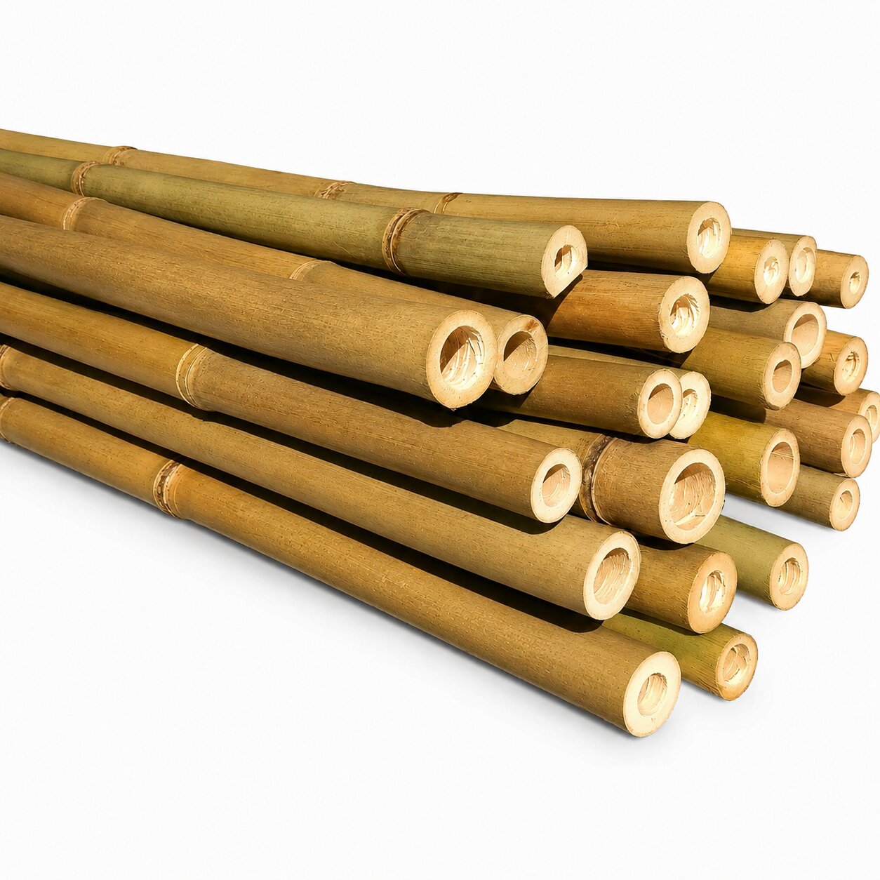 145cm long natural dried bamboo poles bundled together for garden plant support stakes