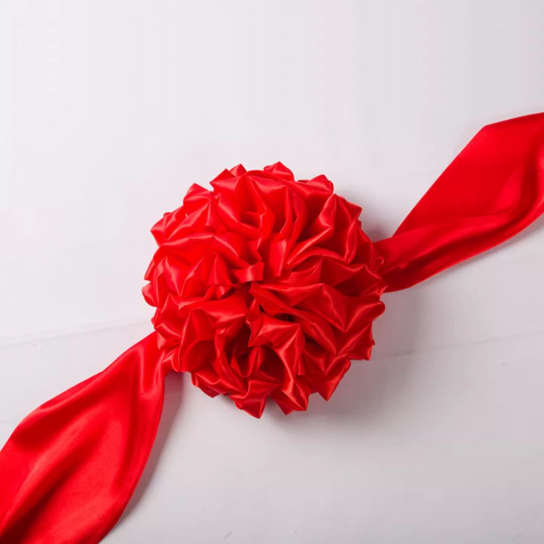 30cm Ball Ribbon for Grand Opening Ceremony Aacc246-CL-SET