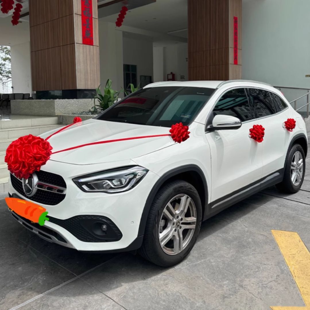 30cm Ball Ribbon for Grand Opening Ceremony Aacc246-CL-SET