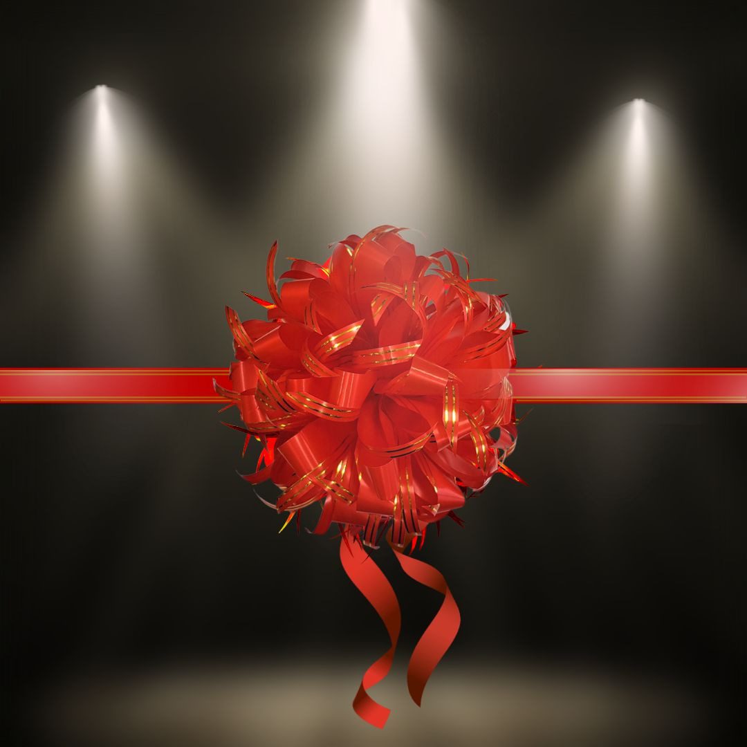 Opening Ceremony Ribbon Ball Singapore 30cm Grand Opening Ribbon Cutting Aacc246