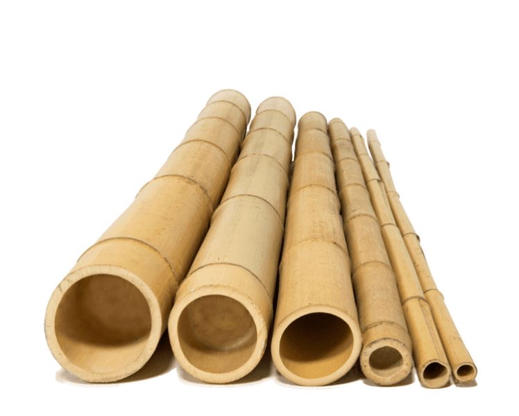 Bamboo Pole for gardening, trellis, plants, climbers, garden, home decor, events Aacc247