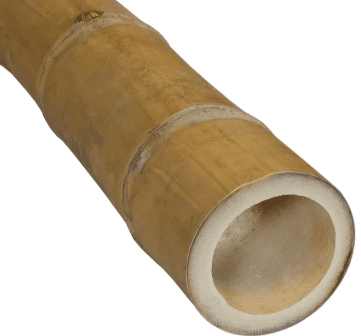 Bamboo Pole for gardening, trellis, plants, climbers, garden, home decor, events Aacc247