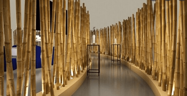 Bamboo Pole for gardening, trellis, plants, climbers, garden, home decor, events Aacc247