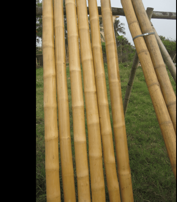 Bamboo Pole for gardening, trellis, plants, climbers, garden, home decor, events Aacc247