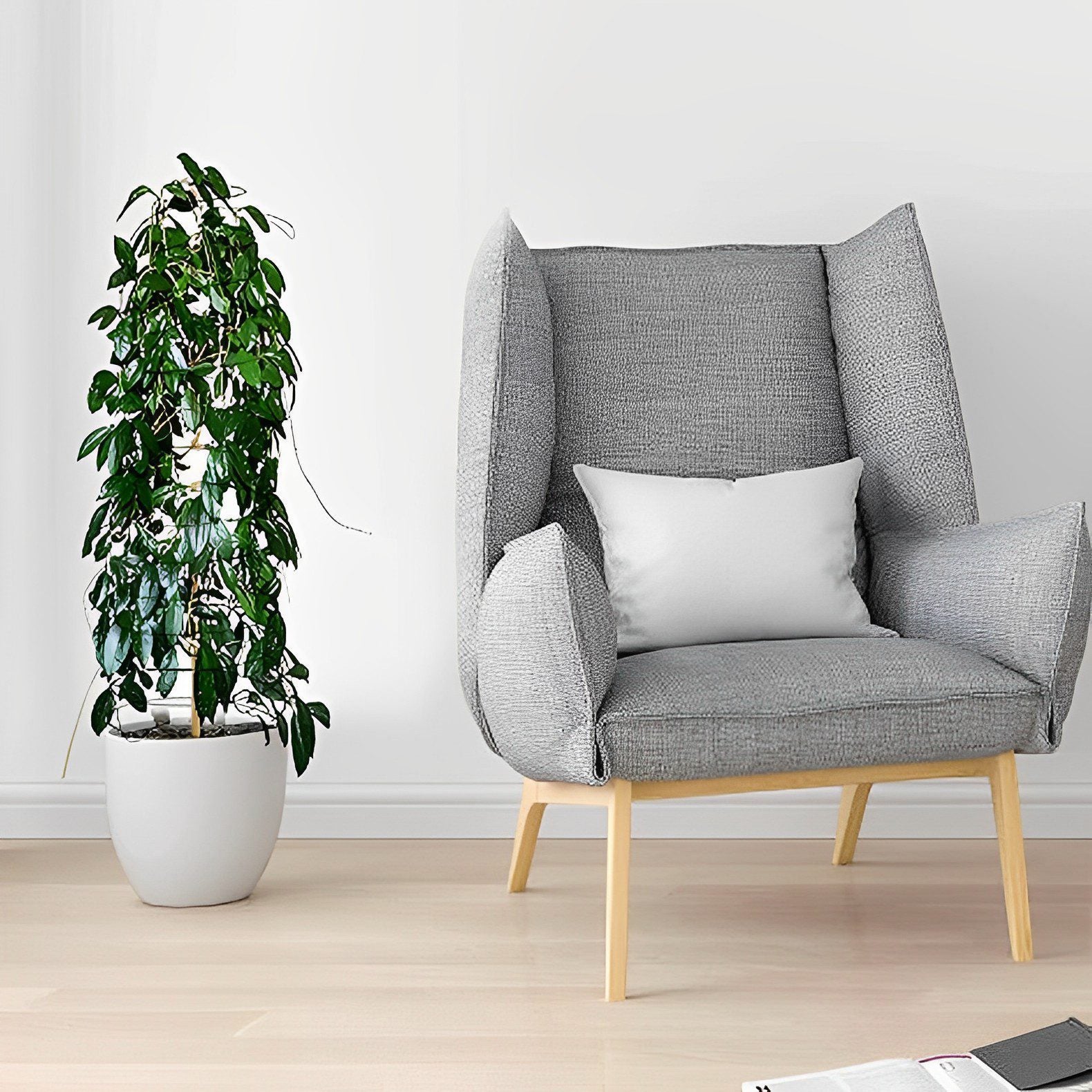 Plant Support Garden High Quality Climbing  Cage Plant Support Stick Aacc296