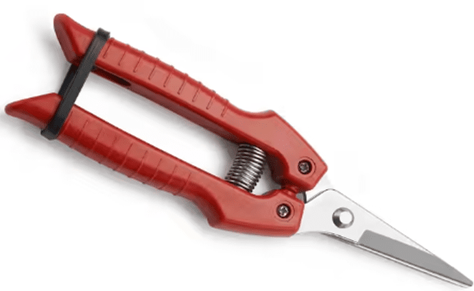 Scissors stainless steel suitable for leaves cutting, yarn, gardening, pots Aacc342