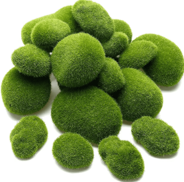 Moss pebbles artificial, stone, garden, flowers, plants Aacc345