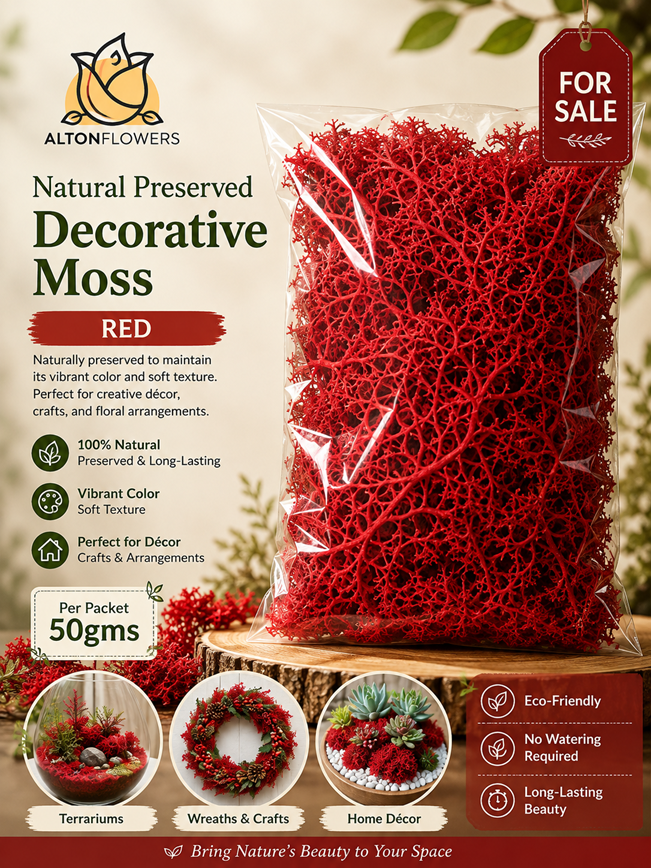 Moss Natural, decoration, home decor, events