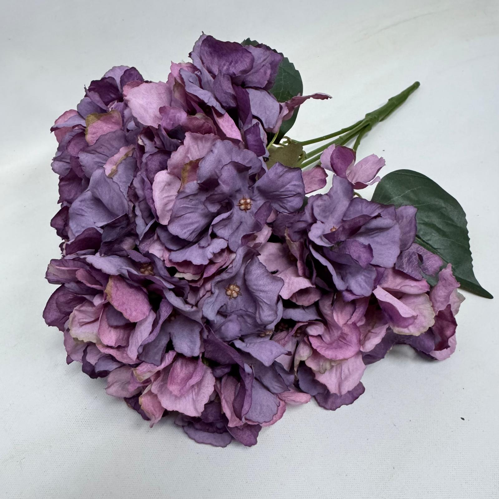 Hydrangea Bush x 5 flowers head per bush Afaux103