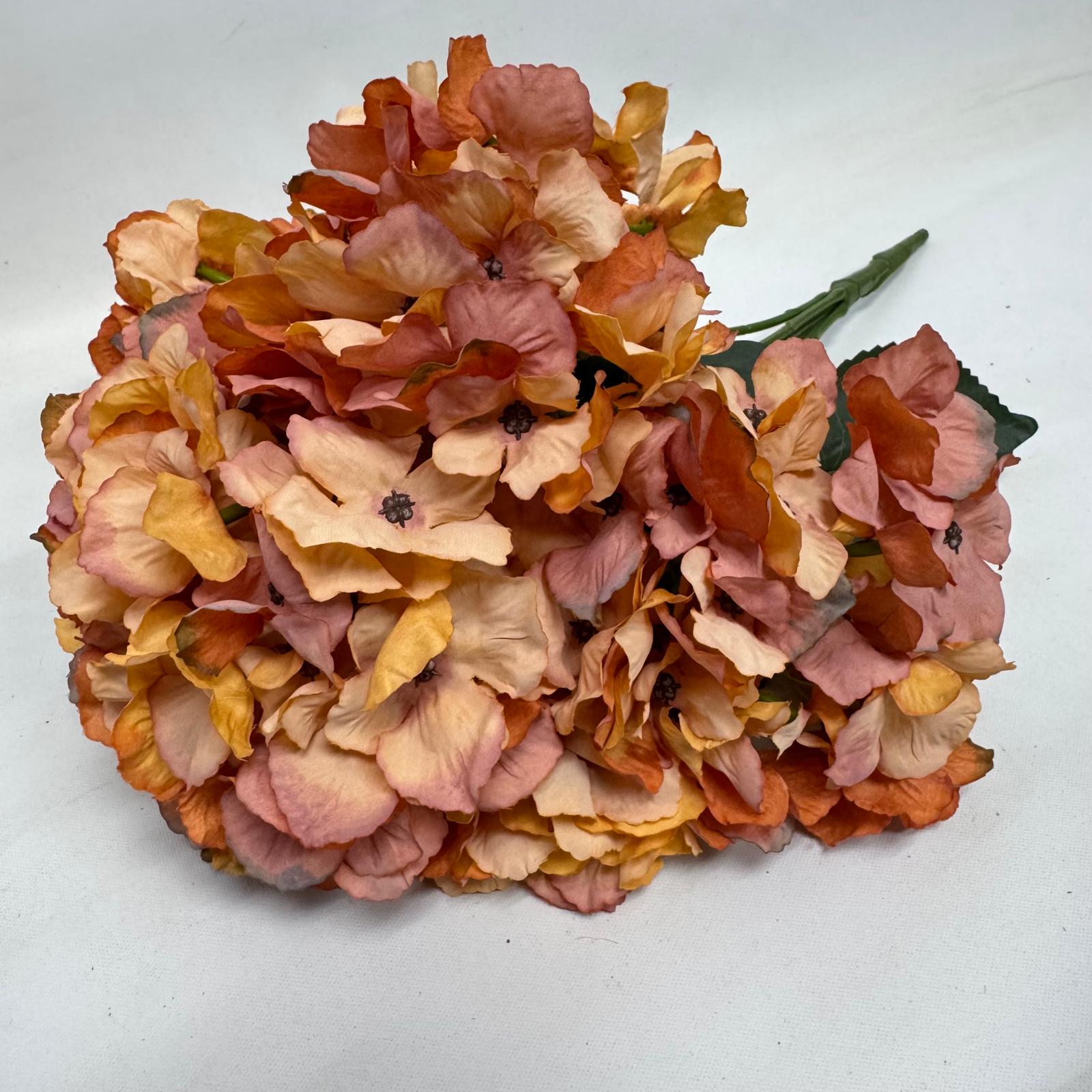 Hydrangea Bush x 5 flowers head per bush Afaux103