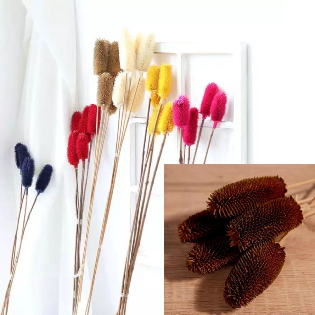 Flower  Dry Afaux175