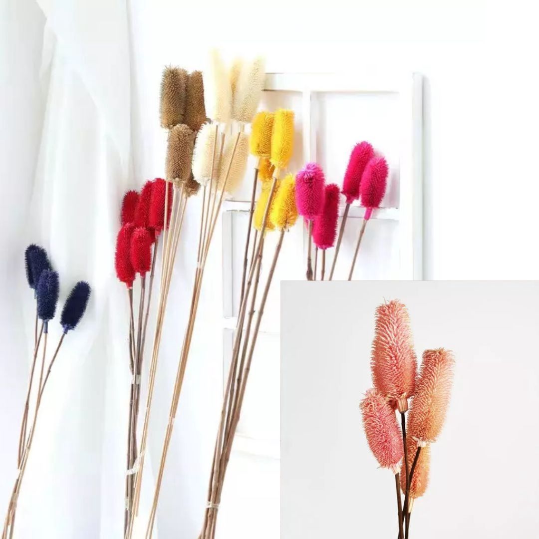 Flower  Dry Afaux175