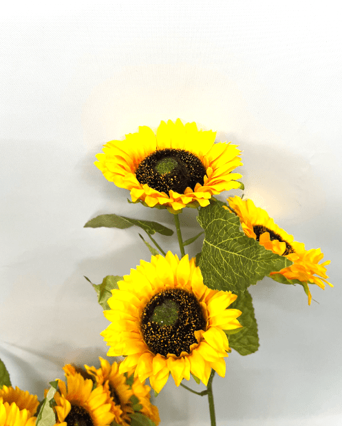 Flower Sunflower x 3 Afaux519