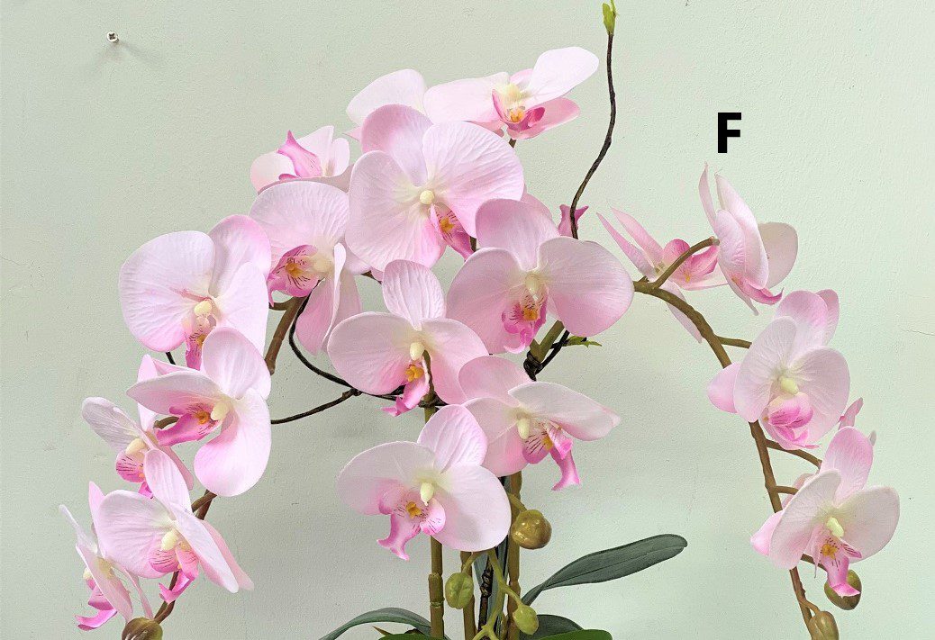 Flower Orchids Cybidium x7 flower heads per stalk artificial Afaux608