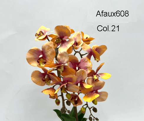 Afaux608 Col.21 Orangy Brown