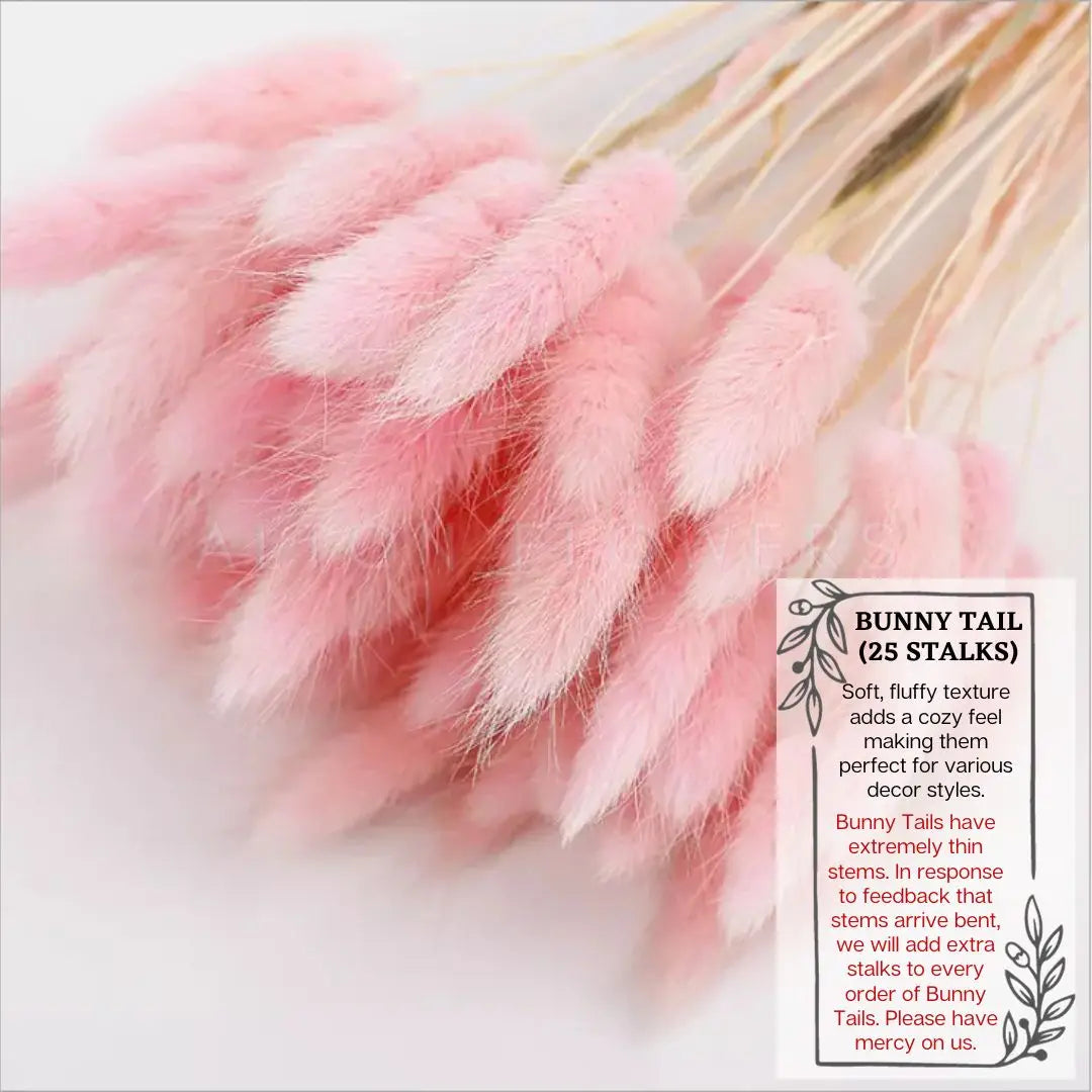 Flowers Bunny Tails (Dried flowers) home decor, events Afaux678