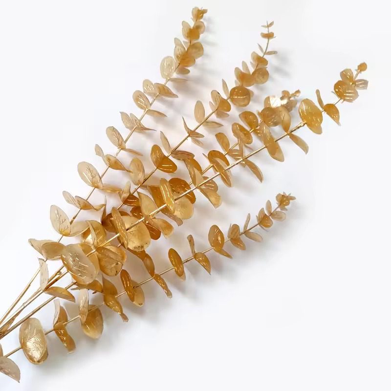 Flower Eucalyptus Spray Gold color, plant, home decor, events Afaux685