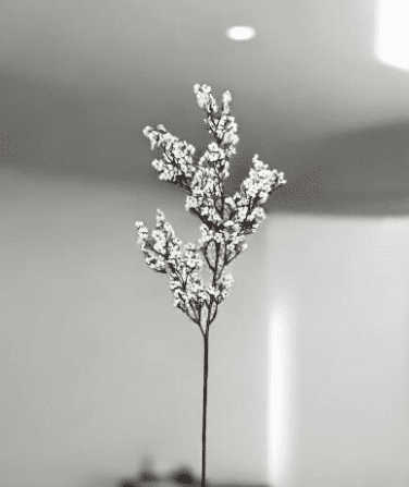 Flower Cherry Blossom Artificial, Plant, arrangement, home decor Afaux758