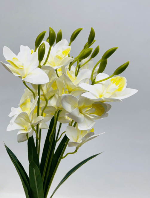 Artificial Cymbidium Orchid Bush – 55cm Faux Orchid Bouquet, 8 Colors Afaux806