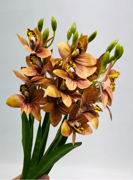 Artificial Cymbidium Orchid Bush – 55cm Faux Orchid Bouquet, 8 Colors Afaux806