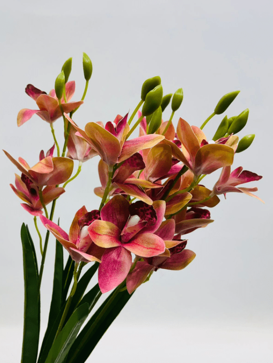 Artificial Cymbidium Orchid Bush – 55cm Faux Orchid Bouquet, 8 Colors Afaux806