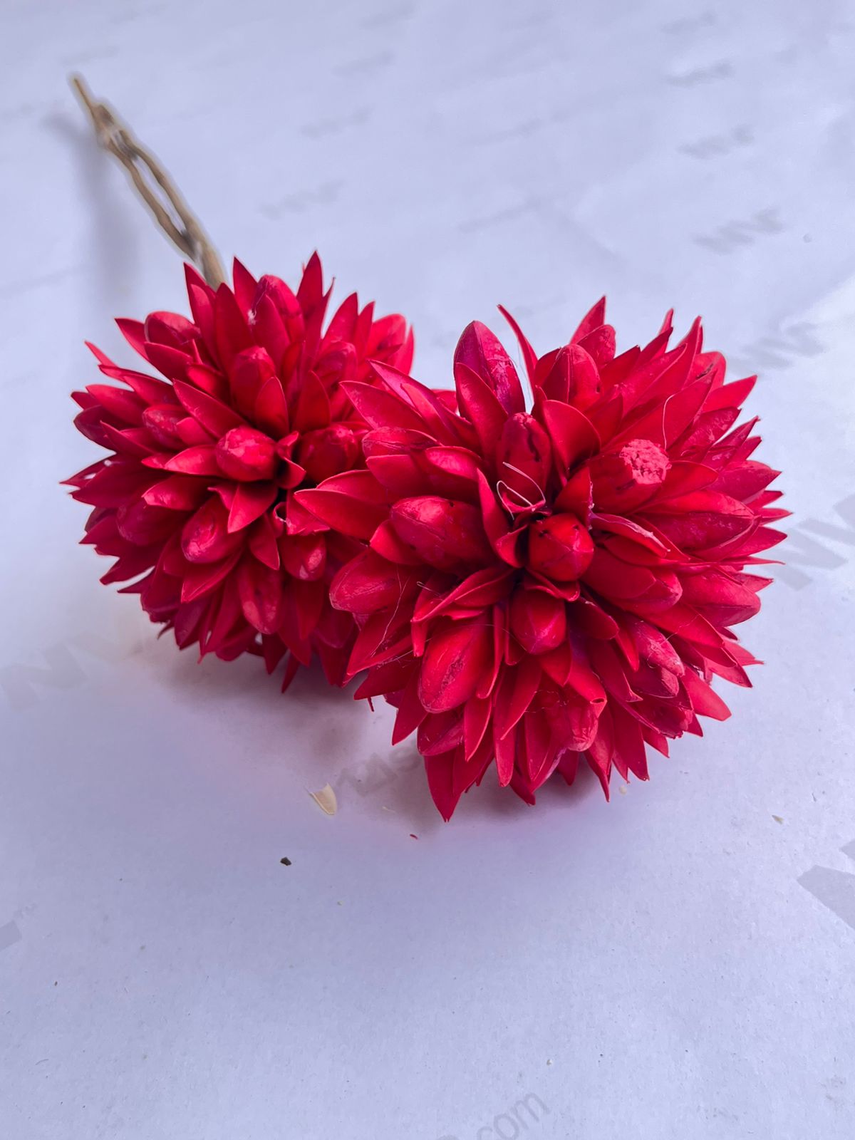 Dried Flowers for home decor, events Afaux807