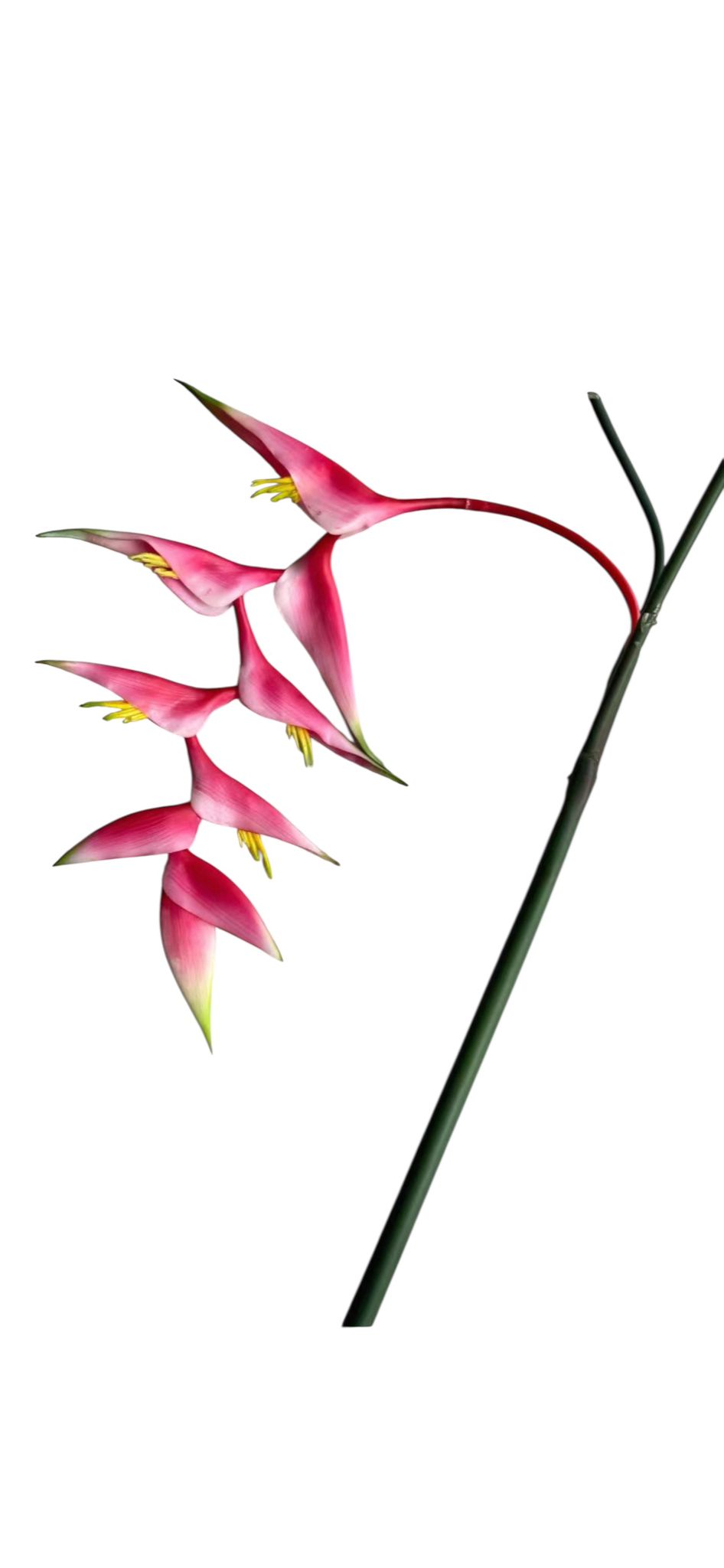 Artificial Plantsl Simulated Tree Pot Plants Fake Flowers Office Table Potted Ornaments Home Garden Office Event Decor Afaux816