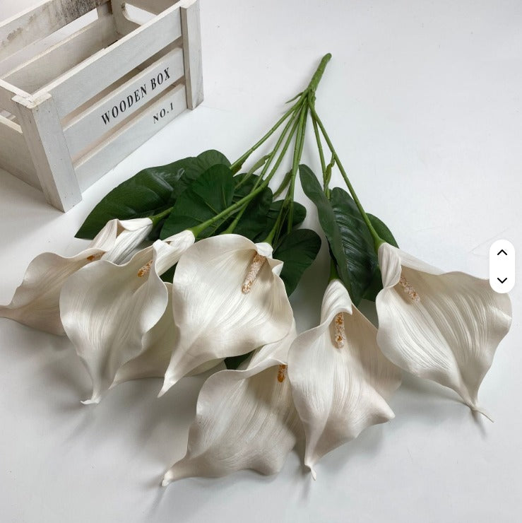 Flower, Calla Lilies Flowers Bush, flower arrangements, folages, plants home decor, gardens, events Afaux824