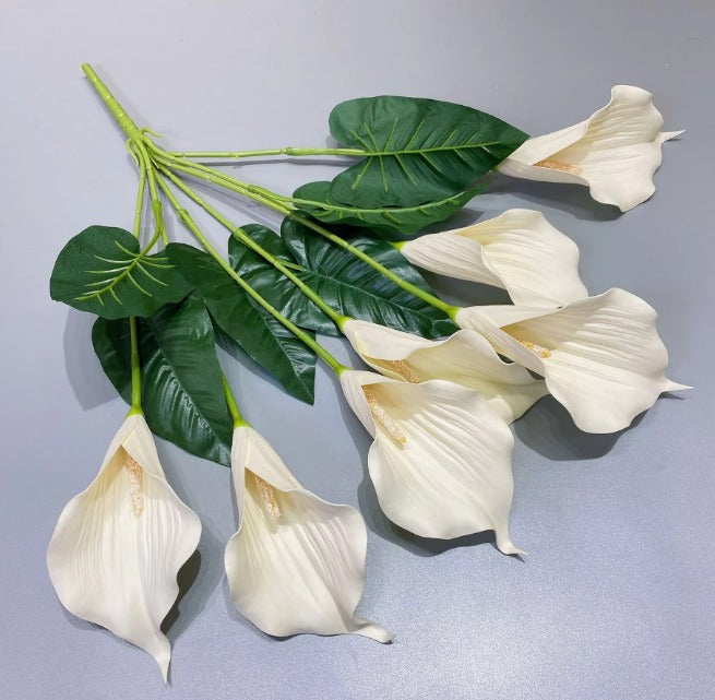 Flower, Calla Lilies Flowers Bush, flower arrangements, folages, plants home decor, gardens, events Afaux824