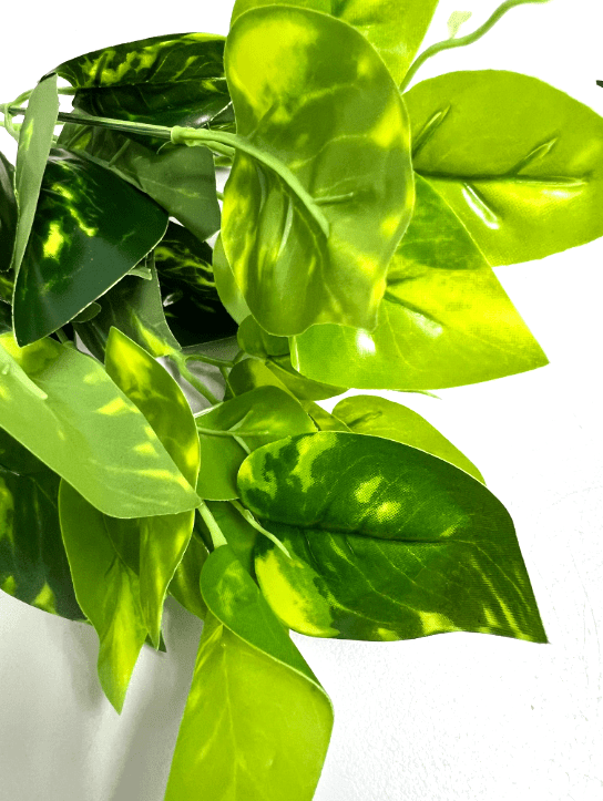 Artificial Money Plant, Philo, bush, home decor, events, garden  Afoil0120