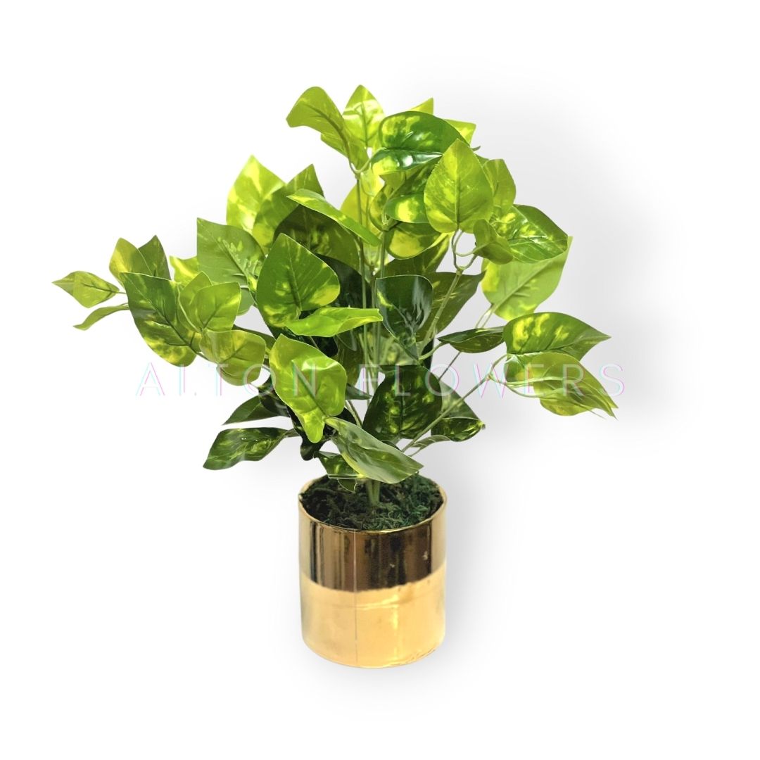 Artificial Money Plant, Philo, bush, home decor, events, garden  Afoil0120