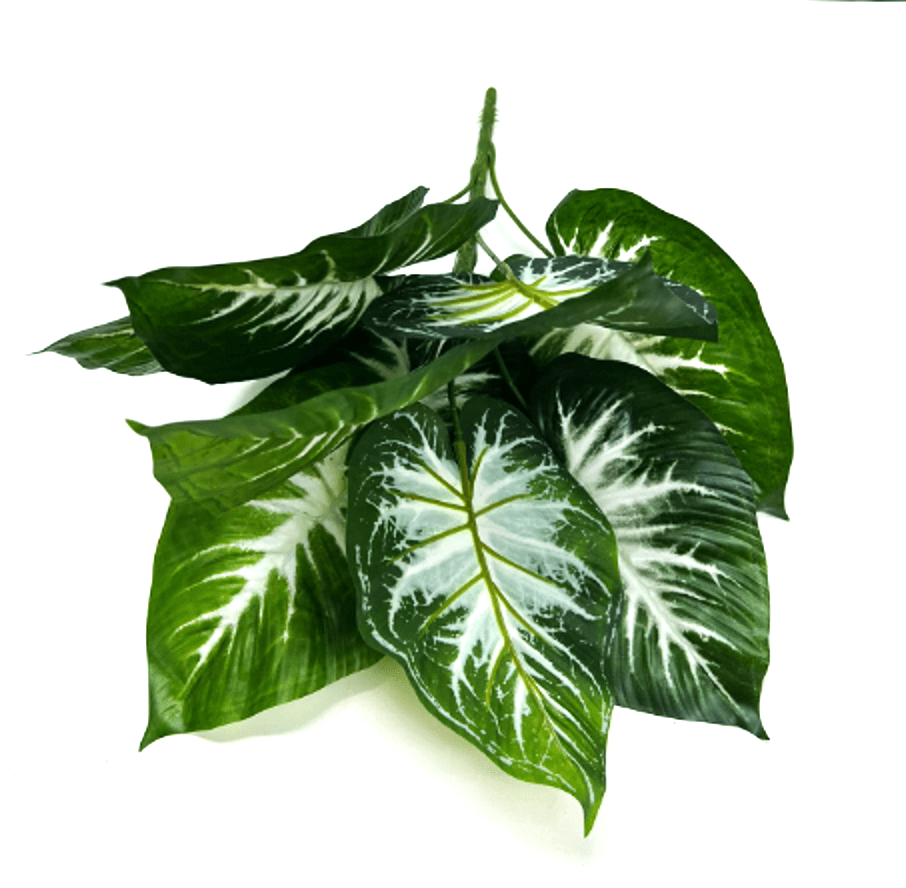 Plant Philodendron Zebra artificial, home decor, indoor, garden Afoil0121