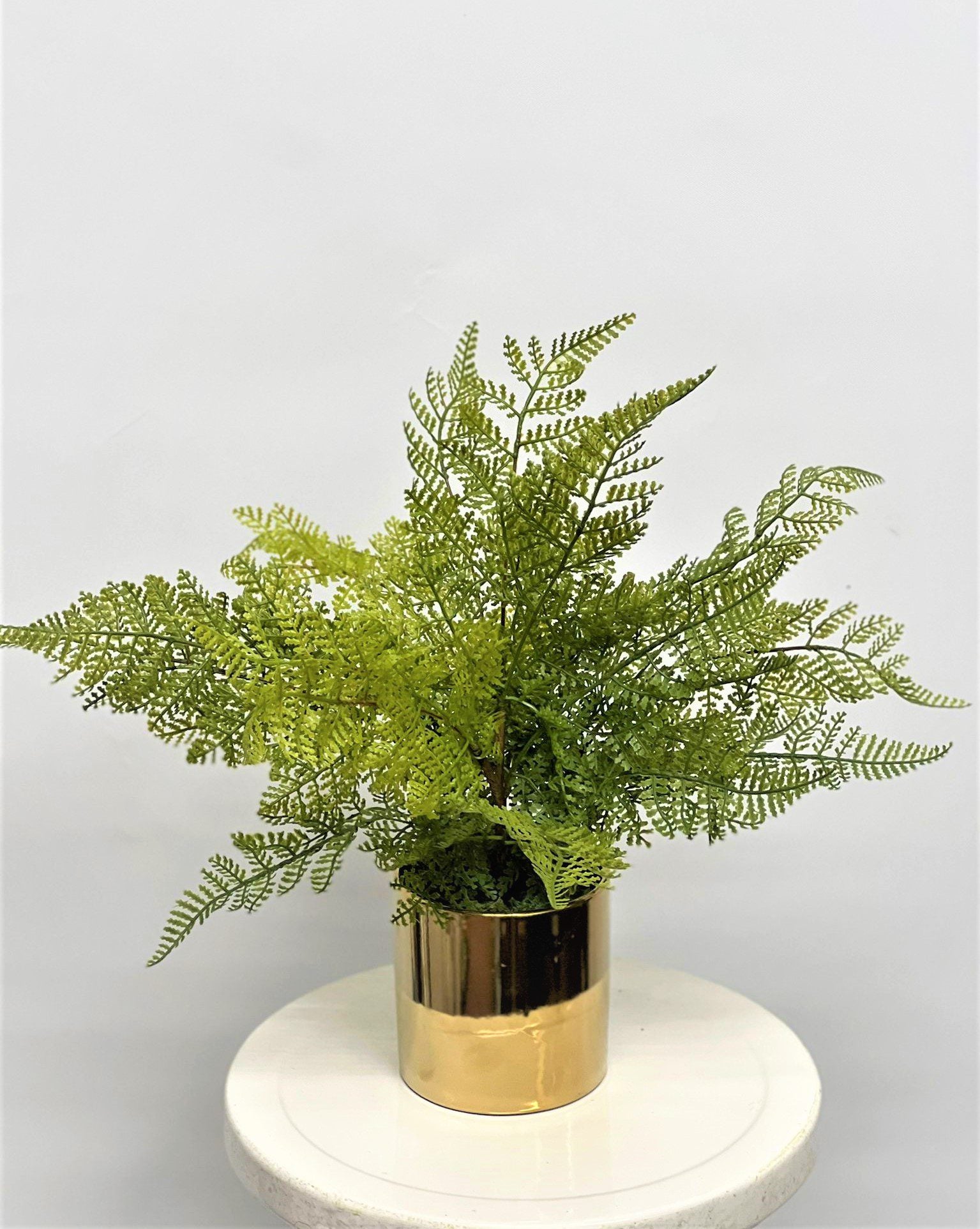 Plant Artificial  Green Fine Ferns Plant/ home decor/ decor, garden/ events Afoil0122