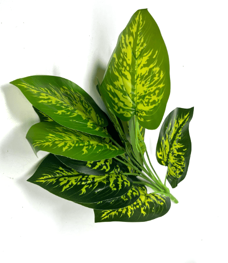 Plant Artificial  Green Diffenbachia, Money Plant/ Plant/ home decor/ decor, garden/ events Afoil0123