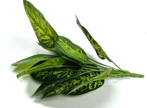 Plant Artificial  Green Diffenbachia, Money Plant/ Plant/ home decor/ decor, garden/ events Afoil0123